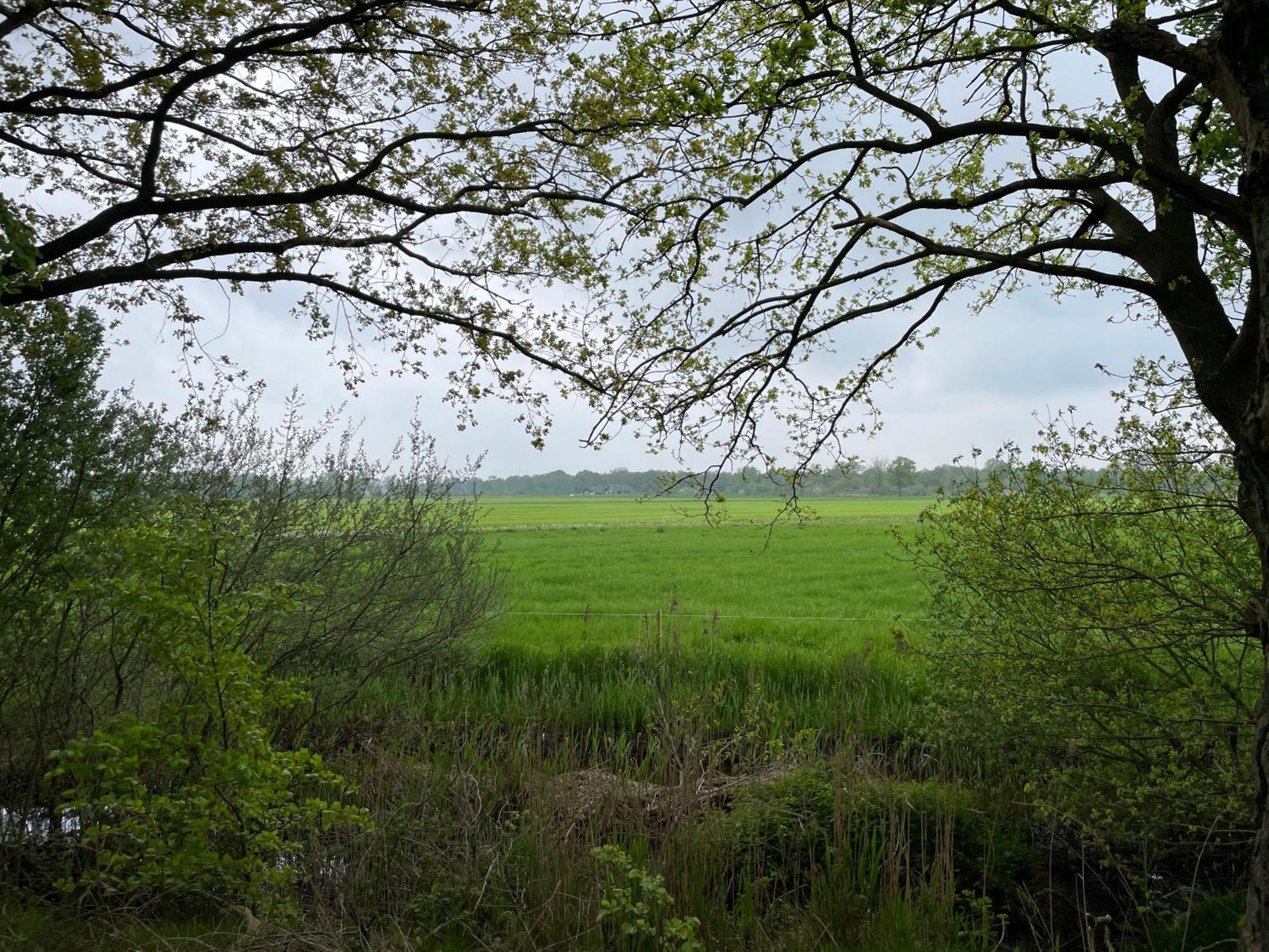 Het Riethuis Holthone Экстерьер фото
